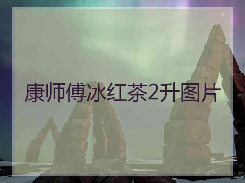 康师傅冰红茶2升图片