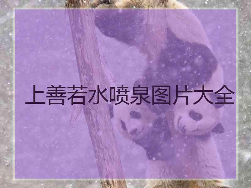 上善若水喷泉图片大全