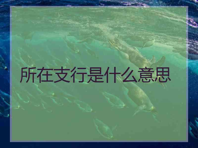 所在支行是什么意思
