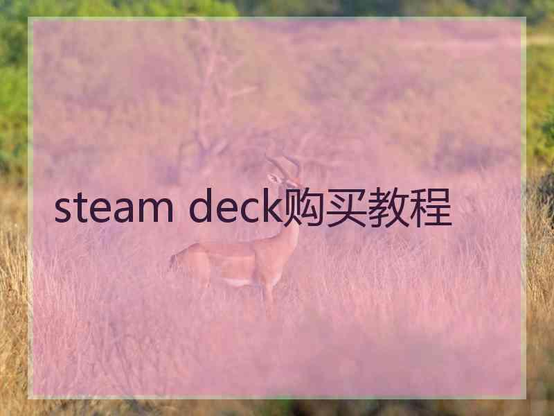 steam deck购买教程