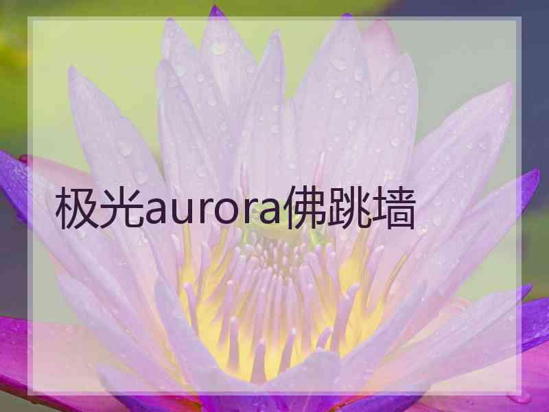 极光aurora佛跳墙