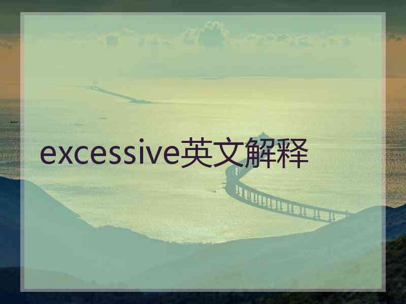 excessive英文解释