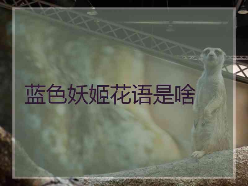 蓝色妖姬花语是啥