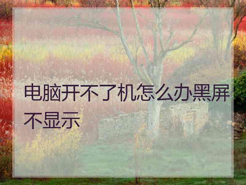 电脑开不了机怎么办黑屏不显示