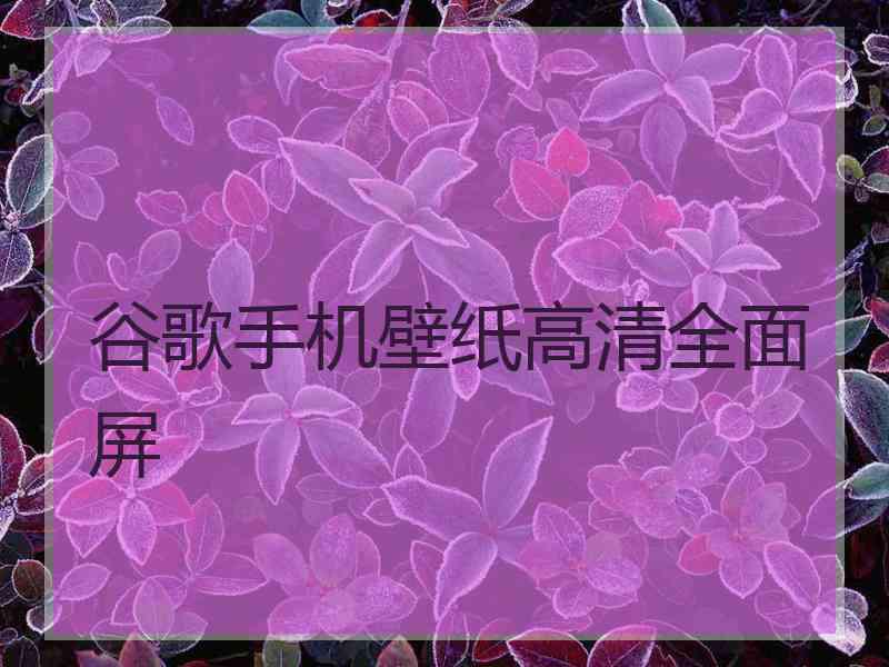 谷歌手机壁纸高清全面屏