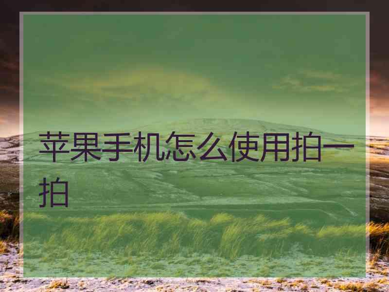 苹果手机怎么使用拍一拍