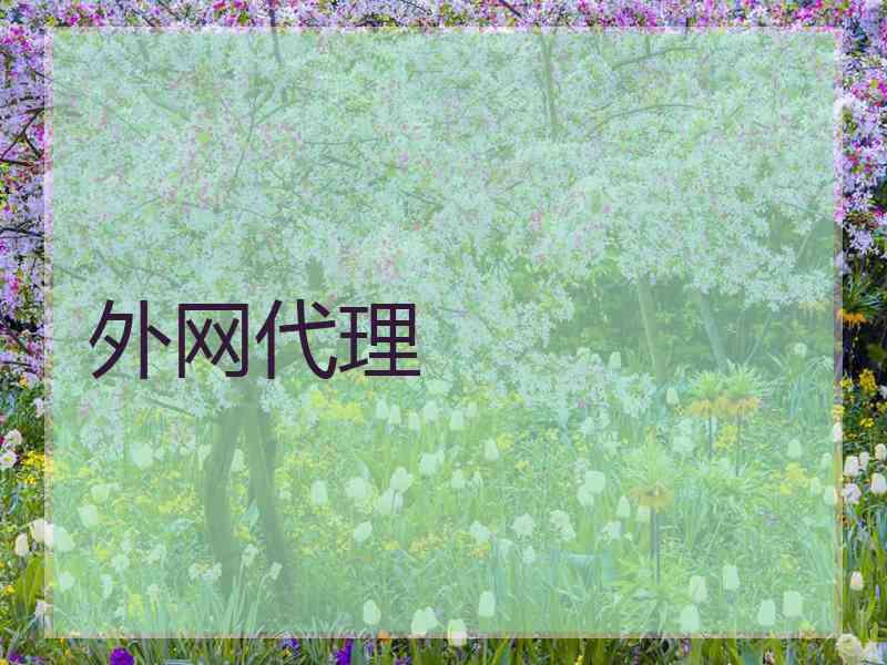 外网代理