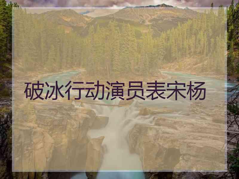破冰行动演员表宋杨