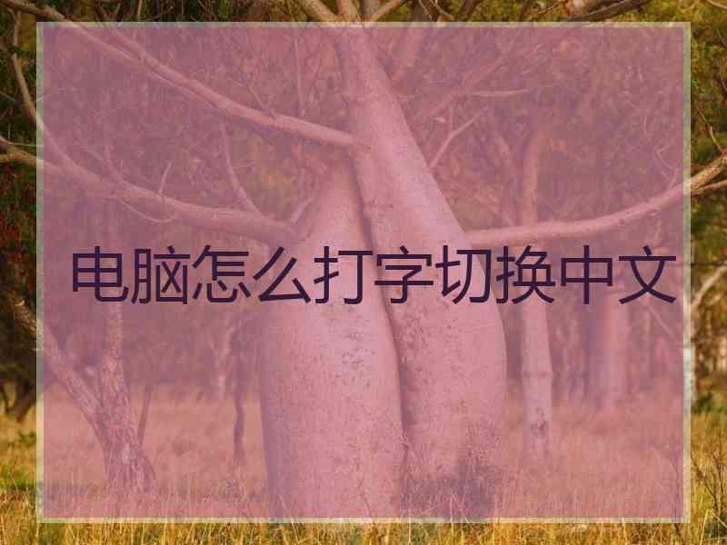 电脑怎么打字切换中文