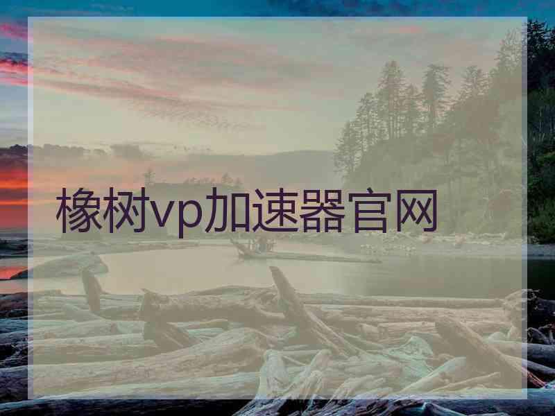 橡树vp加速器官网