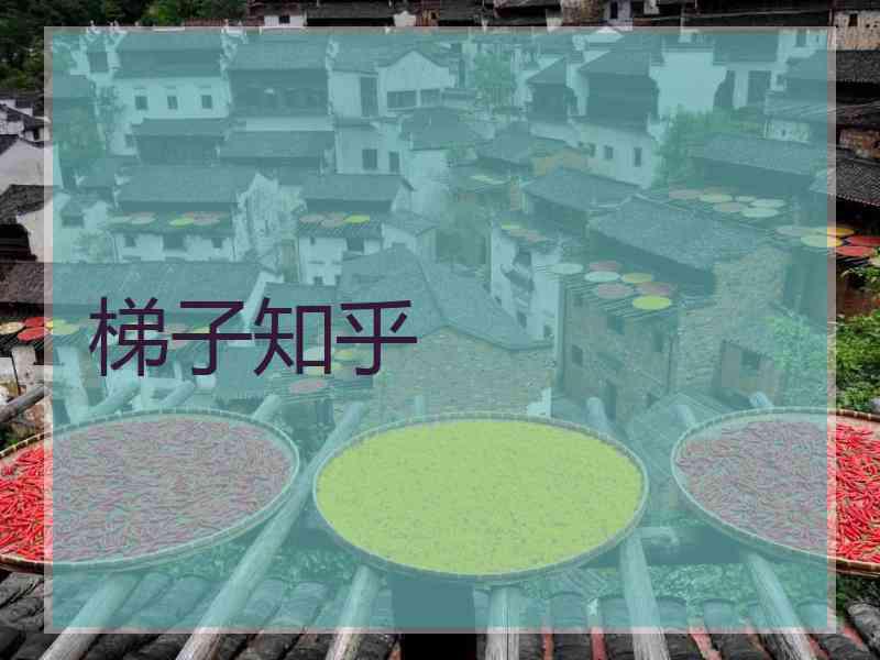 梯子知乎