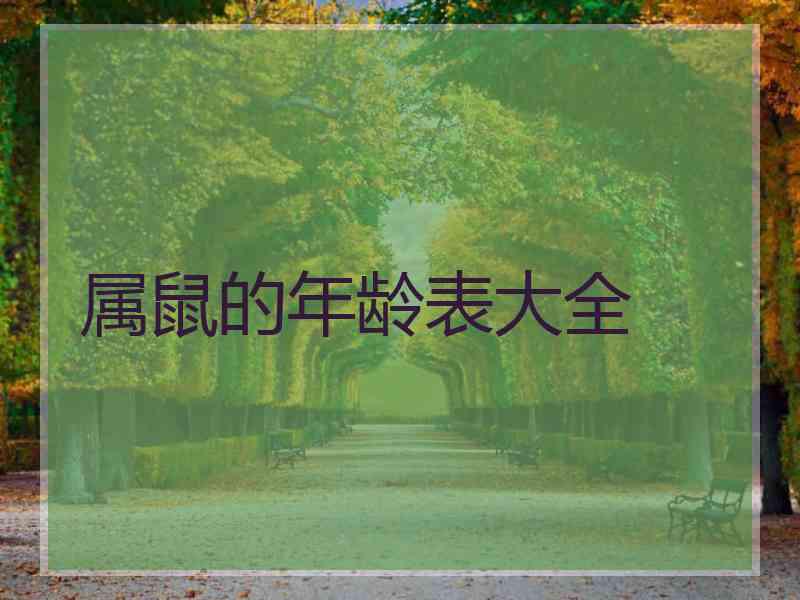 属鼠的年龄表大全