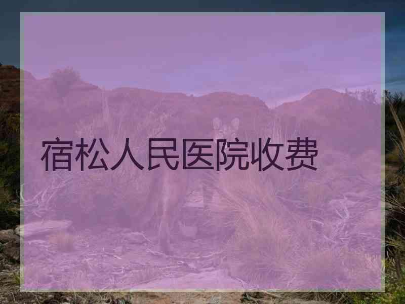 宿松人民医院收费