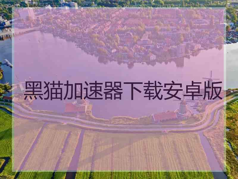 黑猫加速器下载安卓版