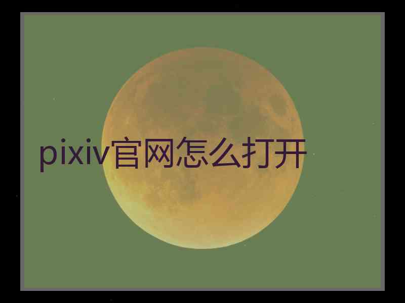 pixiv官网怎么打开