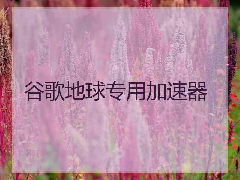 谷歌地球专用加速器