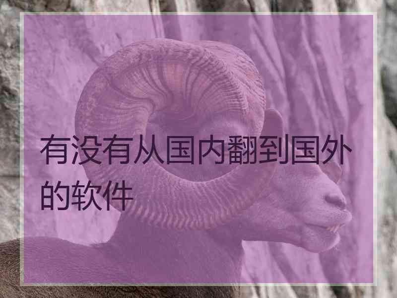 有没有从国内翻到国外的软件