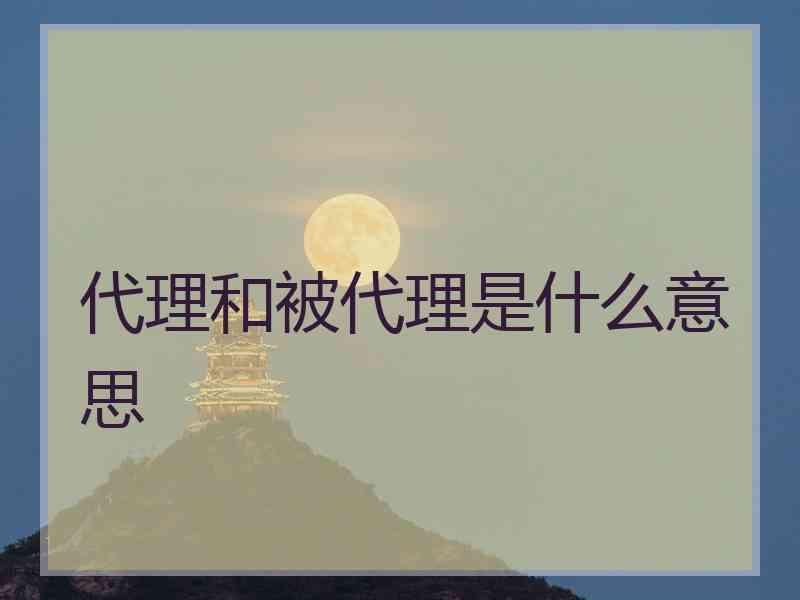 代理和被代理是什么意思