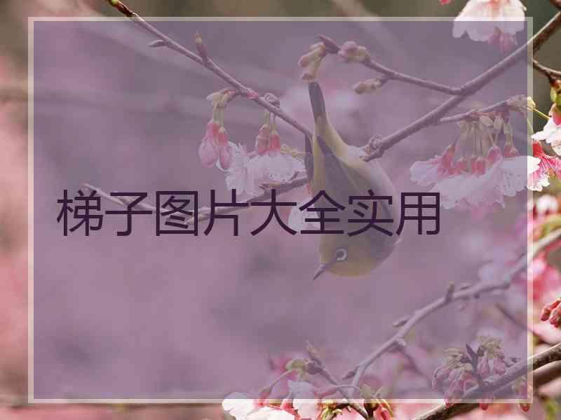 梯子图片大全实用
