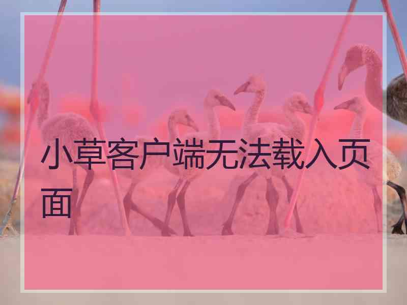 小草客户端无法载入页面