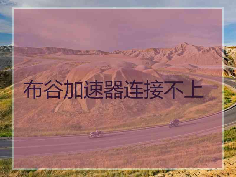 布谷加速器连接不上
