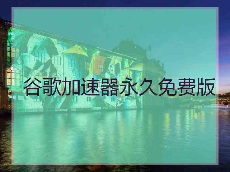 谷歌加速器永久免费版