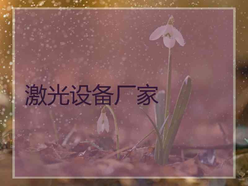 激光设备厂家