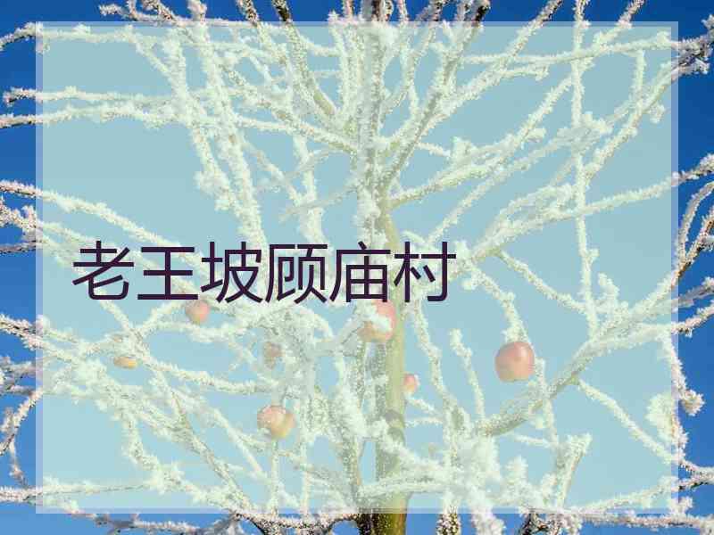 老王坡顾庙村