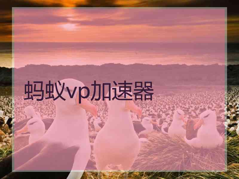 蚂蚁vp加速器
