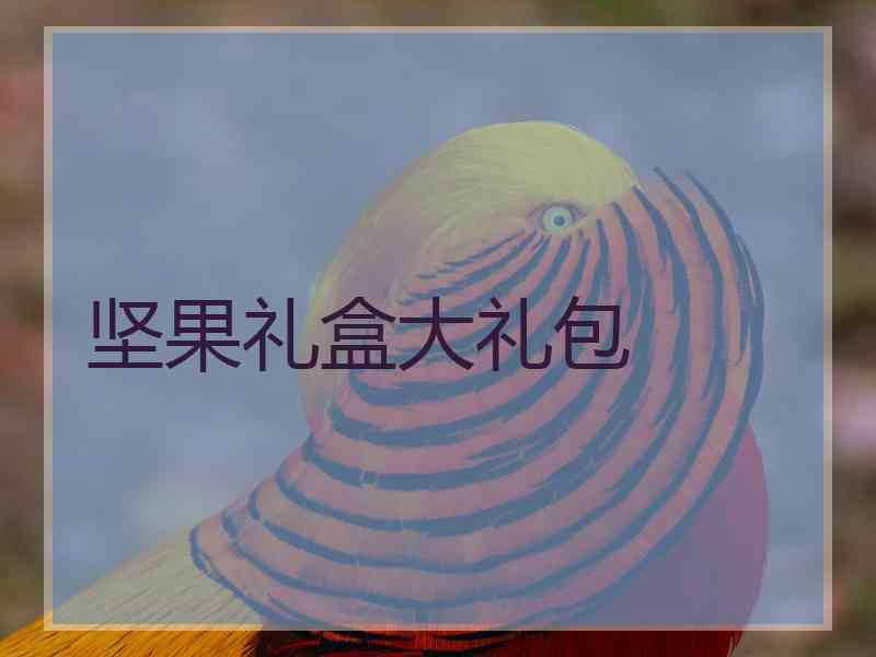 坚果礼盒大礼包