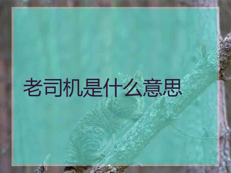 老司机是什么意思