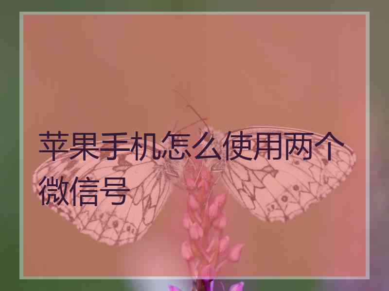 苹果手机怎么使用两个微信号