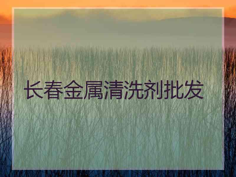 长春金属清洗剂批发