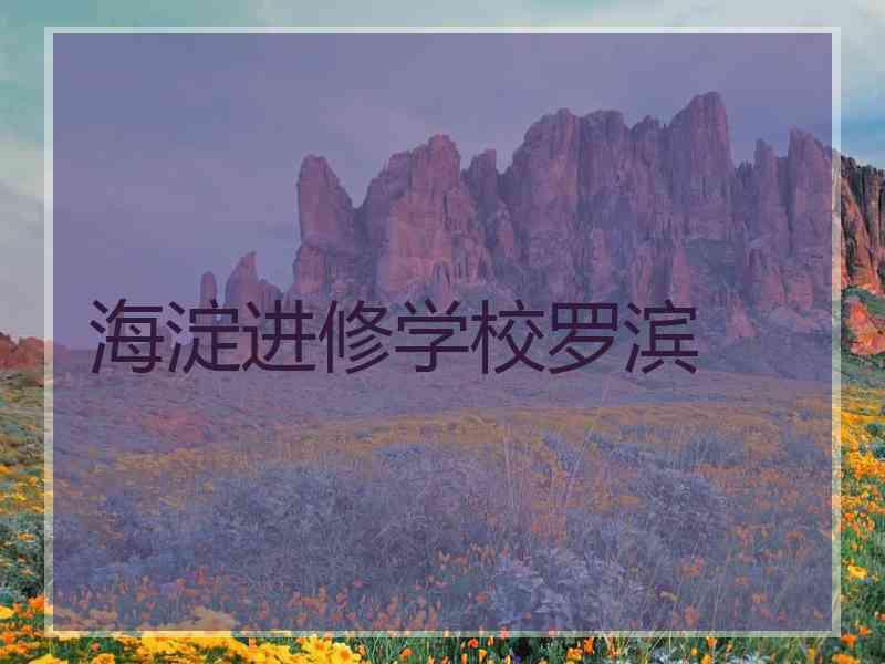 海淀进修学校罗滨