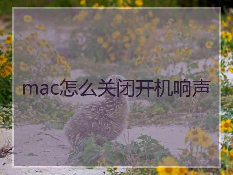 mac怎么关闭开机响声