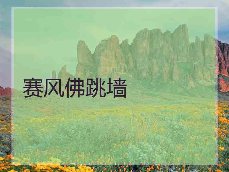 赛风佛跳墙