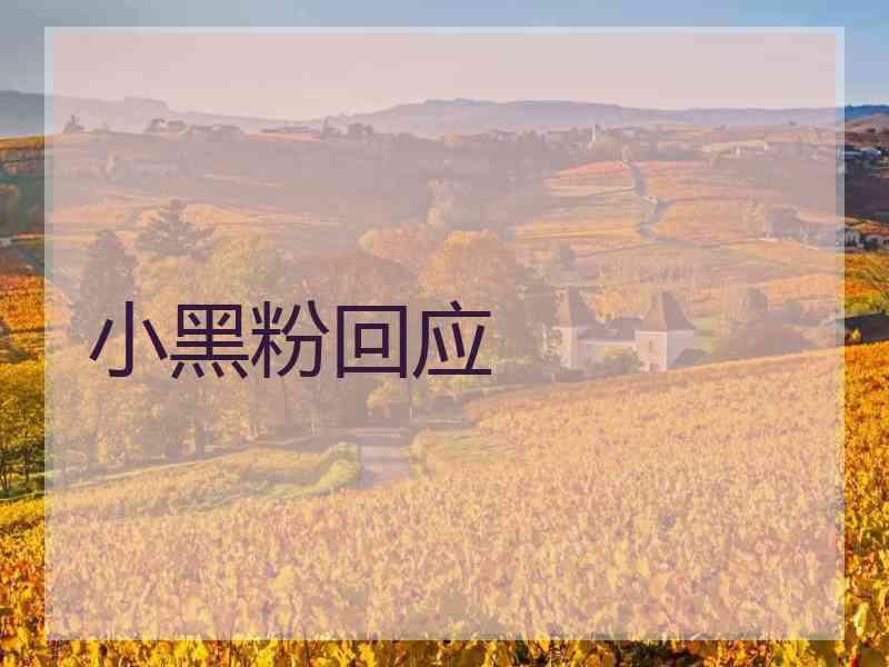 小黑粉回应
