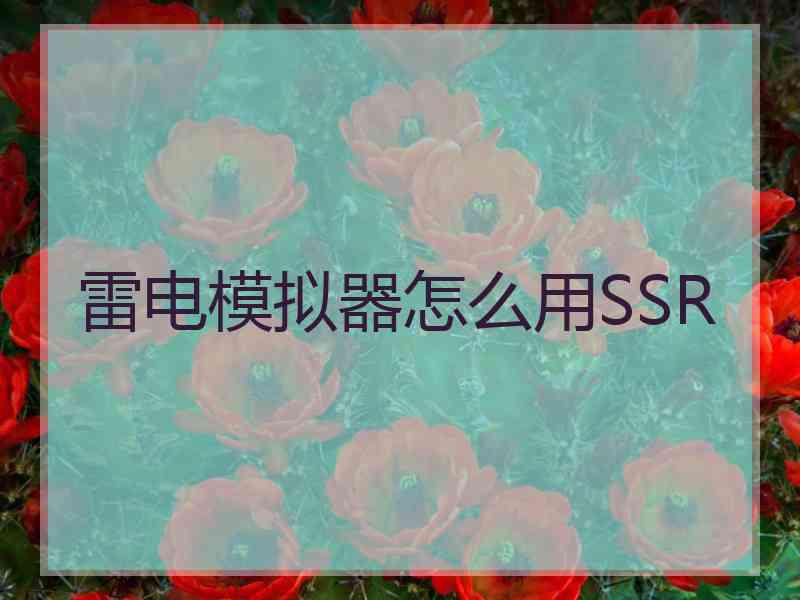 雷电模拟器怎么用SSR