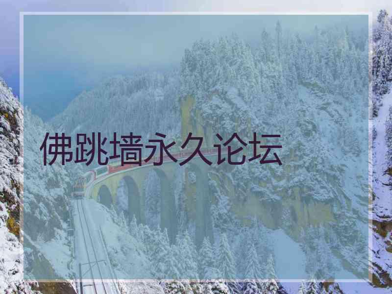 佛跳墙永久论坛
