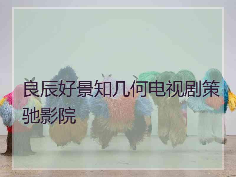 良辰好景知几何电视剧策驰影院