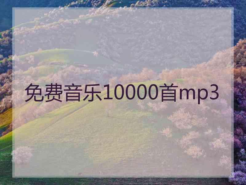 免费音乐10000首mp3