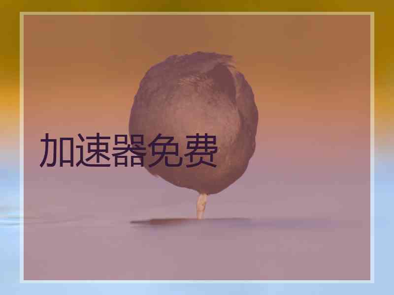 加速器免费