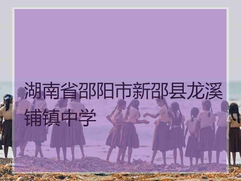 湖南省邵阳市新邵县龙溪铺镇中学
