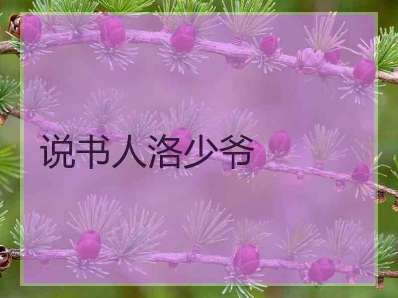 说书人洛少爷