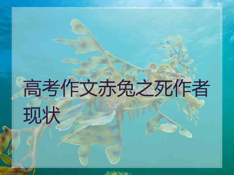 高考作文赤兔之死作者现状