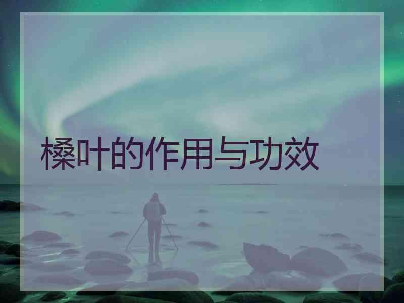 槡叶的作用与功效