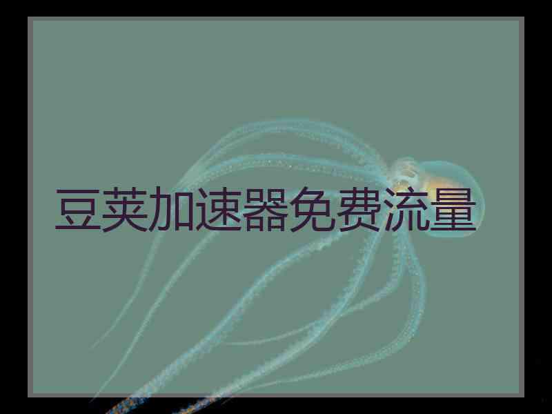 豆荚加速器免费流量