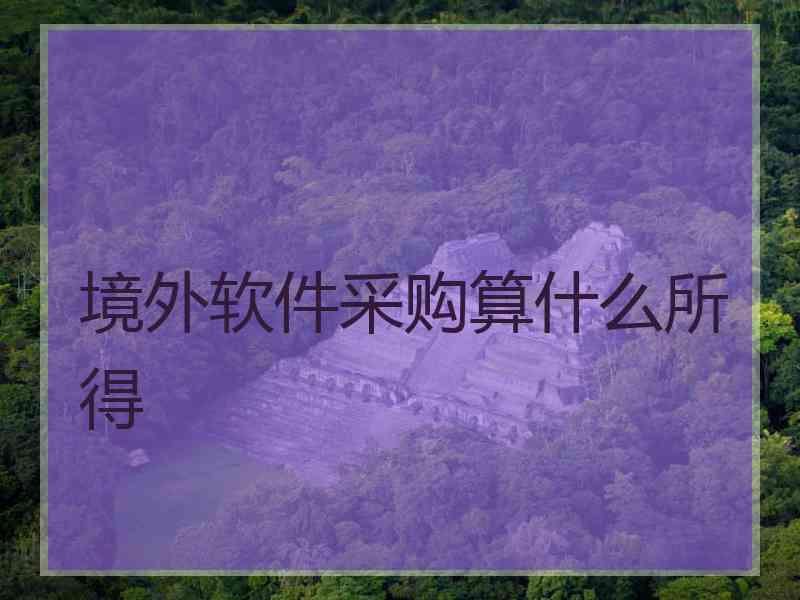 境外软件采购算什么所得