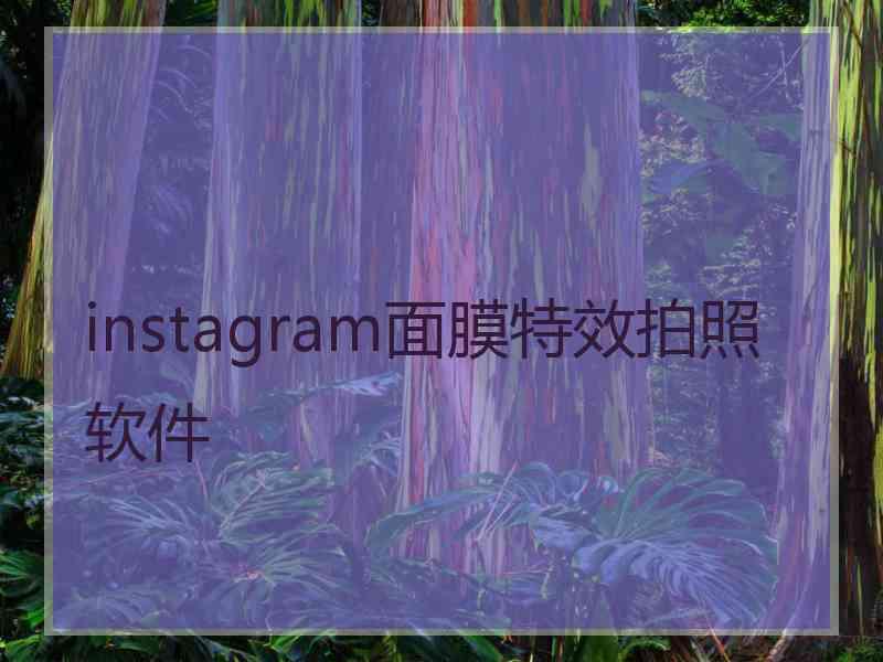 instagram面膜特效拍照软件