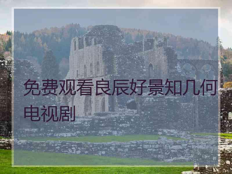 免费观看良辰好景知几何电视剧